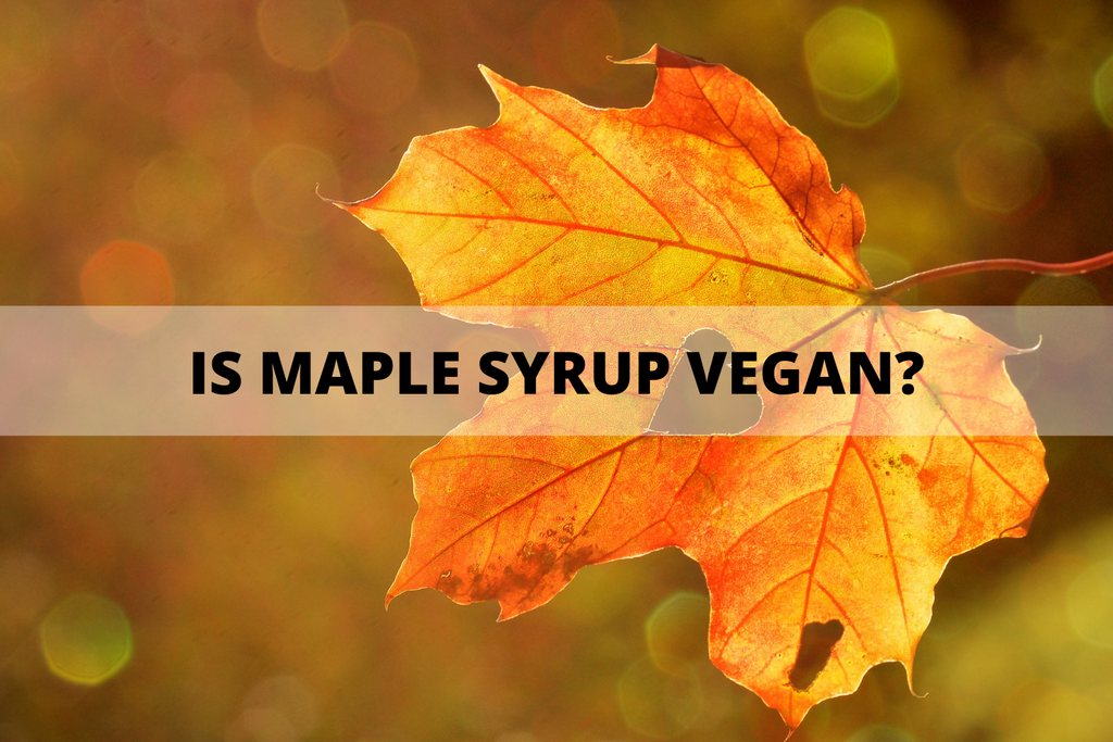 how to choose vegan maple syrup