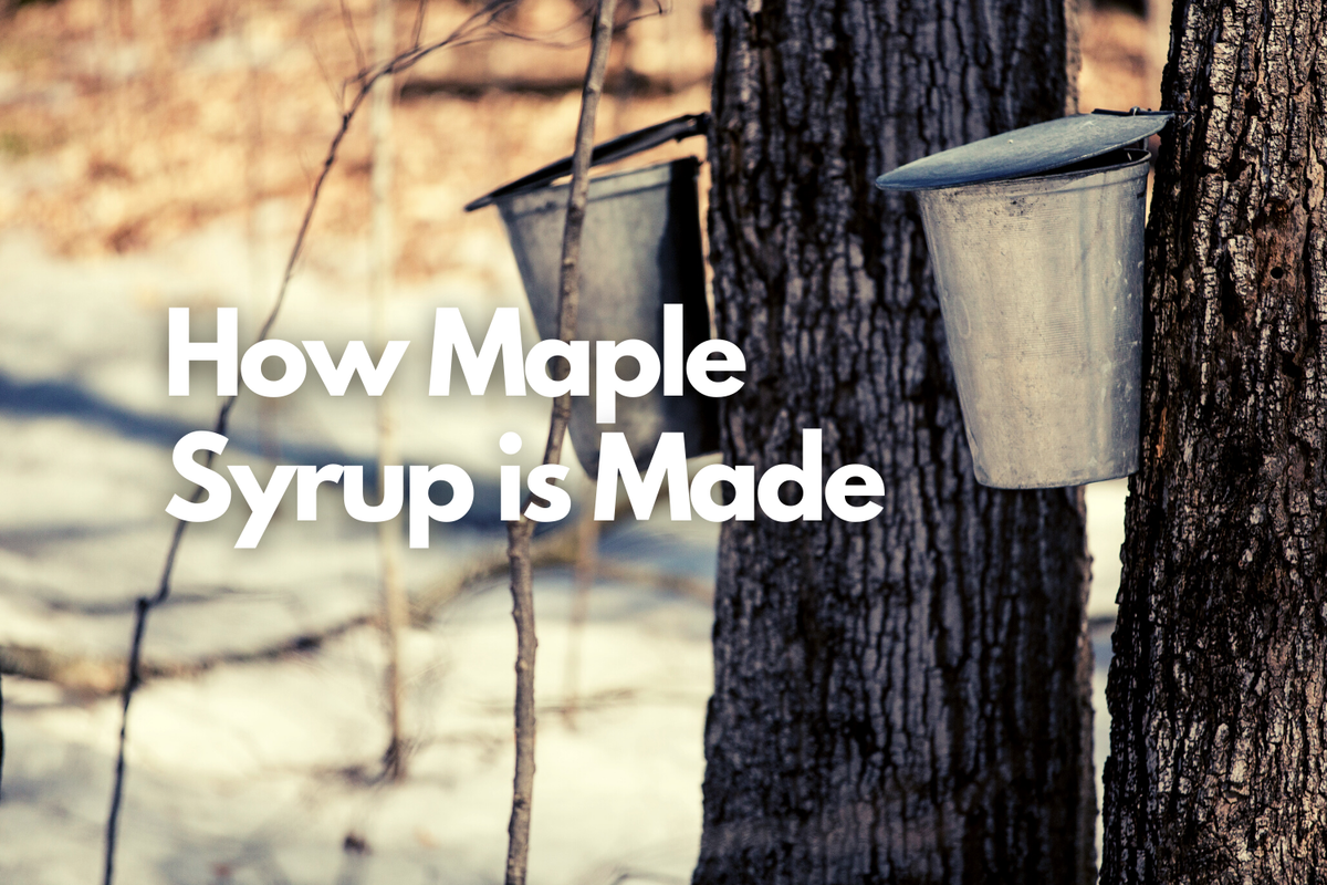 How Maple Syrup is Made | 2022 – Maple Roch